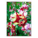 Tulips flower cards