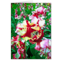 Tulips flower cards