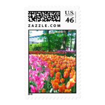 Tulips flowers postage by cycreation Tulips flowers postage