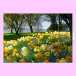 Tulips & Forget-me-nots cards