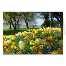 Tulips & Forget-me-nots Cards