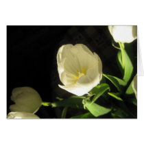 Tulips from Fairway cards by lilyhydrangea Tulips from Fairway cards