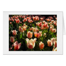 tulips galore card