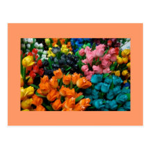 Tulips Galore Post Card