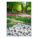 Tulips garden cards