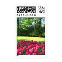 Tulips garden postage by cycreation Tulips garden postage