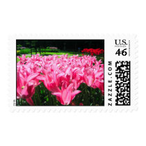 Tulips garden postage by cycreation Tulips garden postage