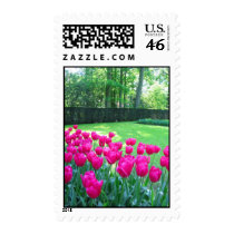 Tulips garden postage by cycreation Tulips garden postage