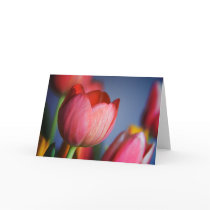 Tulips • Greeting Card