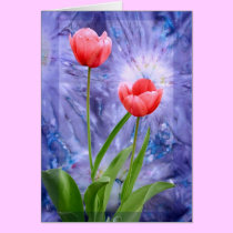 Tulips cards