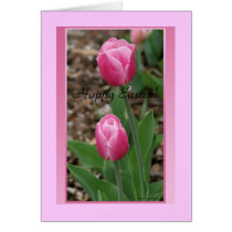 Tulips cards