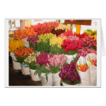 Tulips Greeting Cards