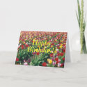Tulips Happy Birthday Card card