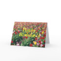 Tulips Happy Birthday Card card