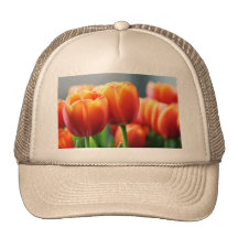Tulips Hats
