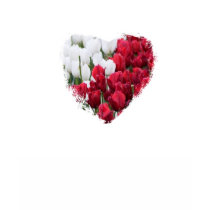 Tulips in a heart t-shirts