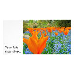 TULIPS IN GOLDERS HILL PARK PERSONALIZED PHOTO CARD