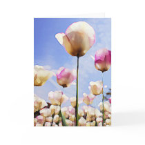 Tulips in June cards