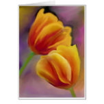 TULIPS IN ORANGE GREETING CARDS