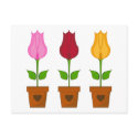 Tulips in Plant Pots Postcard