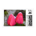 tulips in snow postage