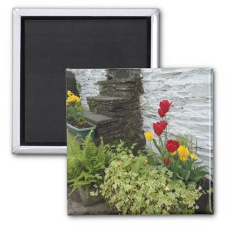Tulips in Spring magnet