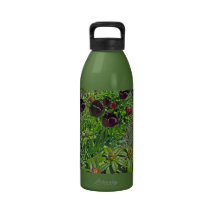 Tulips in Spring Water Bottles