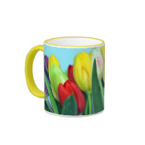 Tulips in Springtime Mug