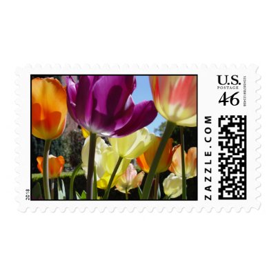 Tulips in sunlight postage stamp by ZeroToTwenty