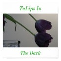 TuLips In The Dark posters by meia7214N TuLips In The Dark posters