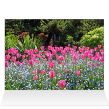 Tulips in the Park Note Card