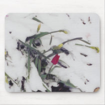 Tulips in Winter - mousepad by Horseshoes3 Tulips in Winter - mousepad