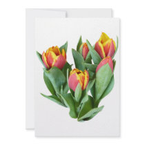 Tulips Just Opening invitations