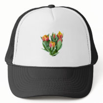 Tulips Just Opening hats