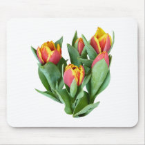 Tulips Just Opening mousepads