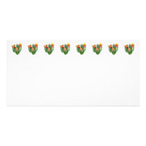 Tulips Just Opening photo cards