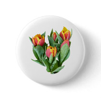 Tulips Just Opening buttons