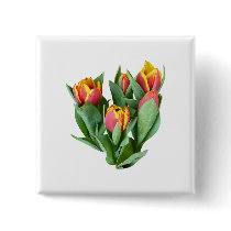 Tulips Just Opening buttons