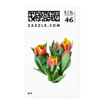 Tulips Just Opening stamps