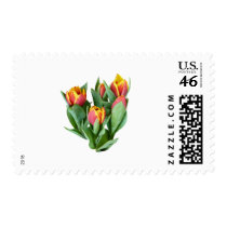 Tulips Just Opening stamps