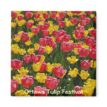 Tulips magnets