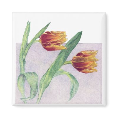 Tulips Magnet by floatinglemons