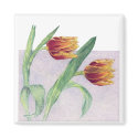 Tulips Magnet