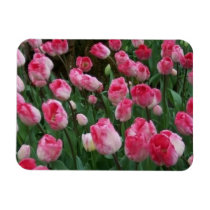 Tulips Magnet magnets