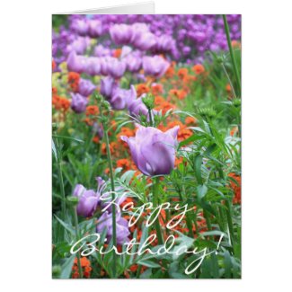 Tulips meadow card