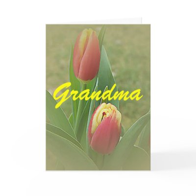 Tulips Mother's Day Grandma Flower Card by JoniceC
