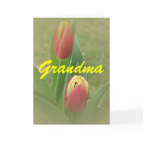 Tulips Mother's Day Grandma Flower Card