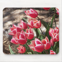 Tulips mousepads by closphotos Tulips mousepads