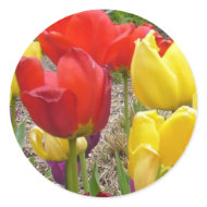 Tulips of Summer Sticker sticker