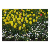 tulips, pansies, daisies cards